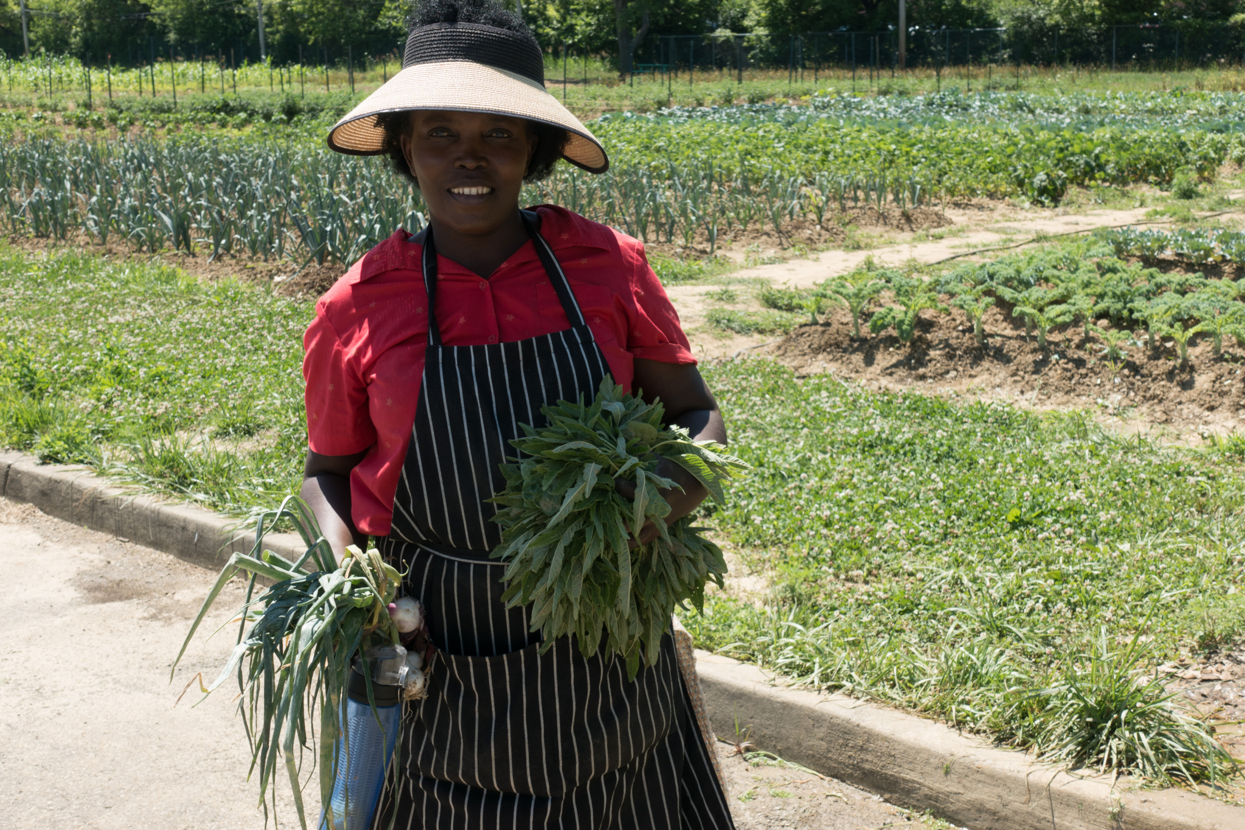 A woman holding a fresh-picked bunch of greens at the Gosheni farm