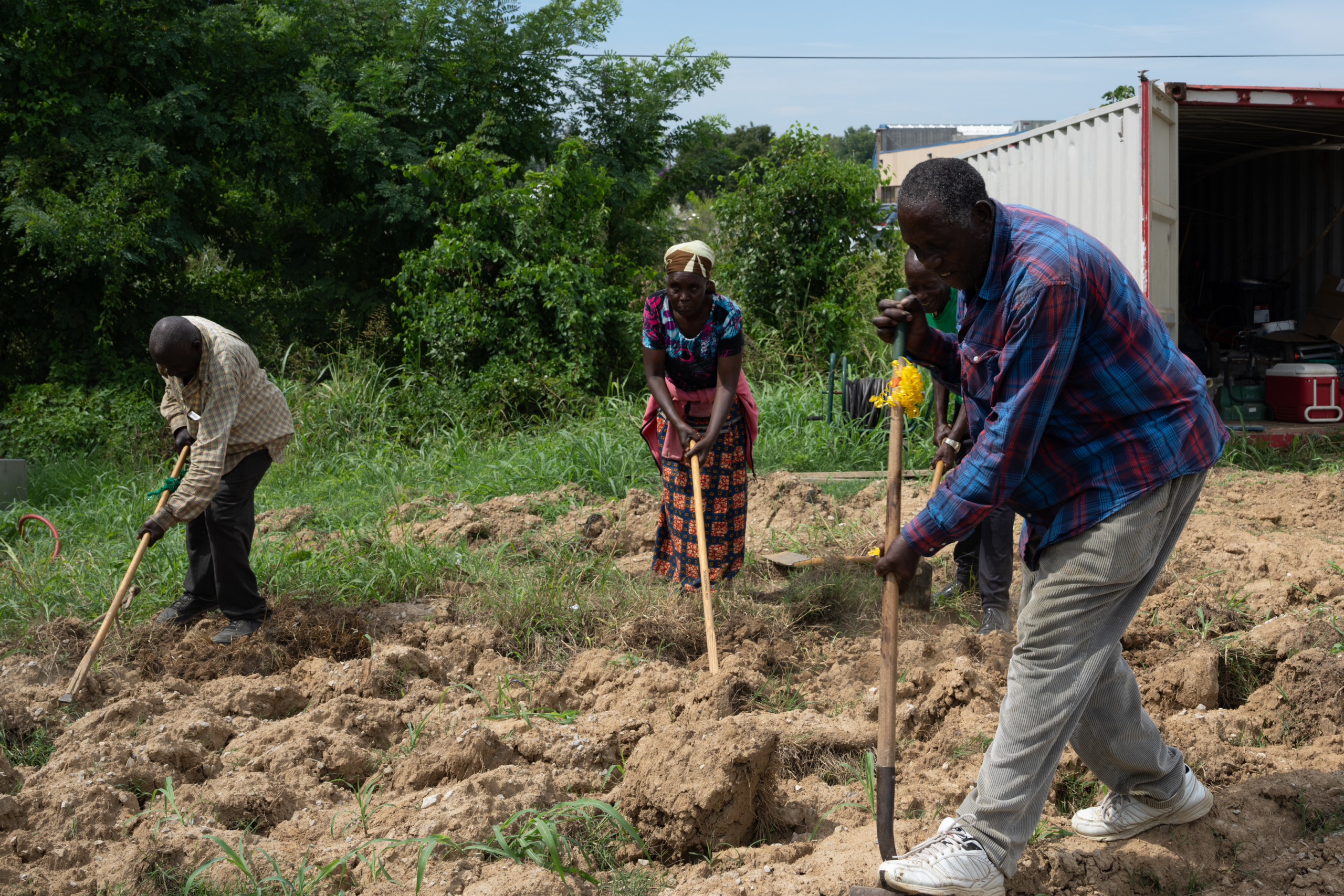 Three new neighbors turning soil together with hoes on a sunny day.