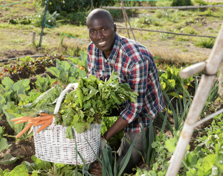 A farmer at the Gosheni farm