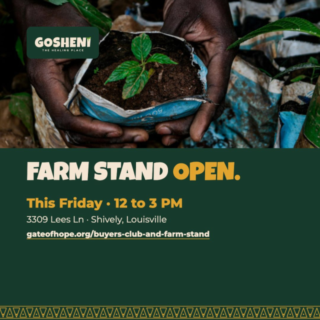 The Farm Stand is open this Friday. Come out to Gosheni Farm in Shively (12 to 3 PM) for fresh produce grown right here in Louisville by our community of new neighbors. Every visit supports the farmers and the land that sustains them. See you at 3309 Lees Ln. → gateofhope.org/buyers-club-and-farm-stand #GosheniFarm #LouisvilleFarmers #ShivelyLouisville #FarmStand #GateOfHope #KentuckyProud
